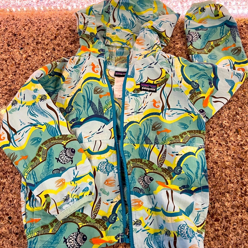 Patagonia 3T Toddler Jacket